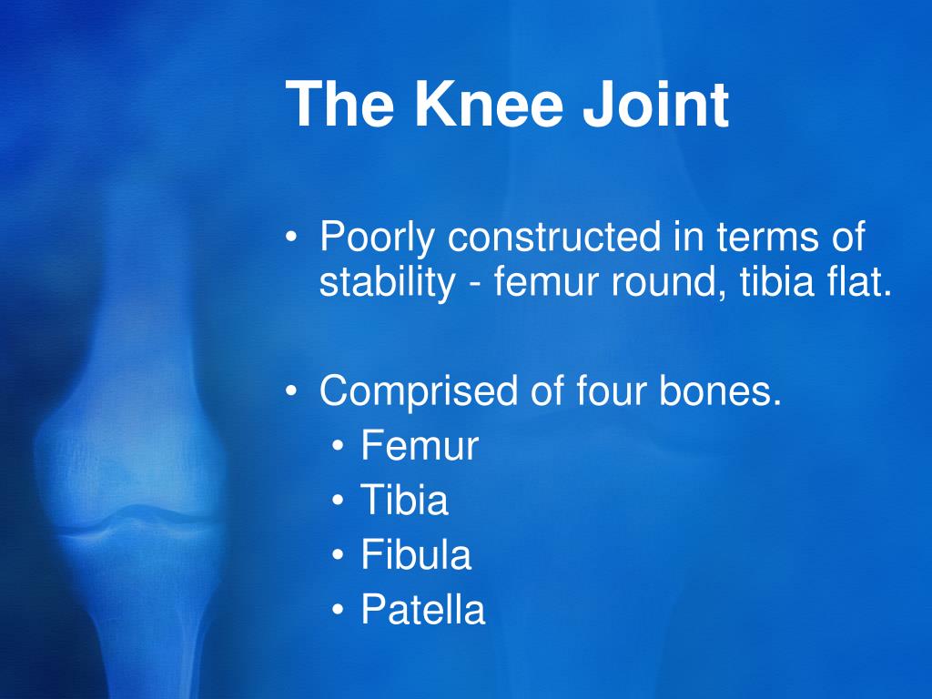 definition of knee presentation