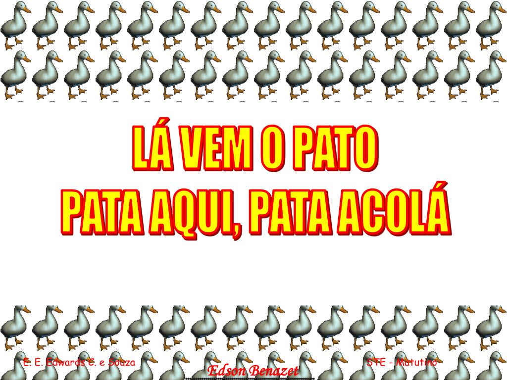 PPT - LÁ VEM O PATO PATA AQUI, PATA ACOLÁ PowerPoint Presentation, free ...