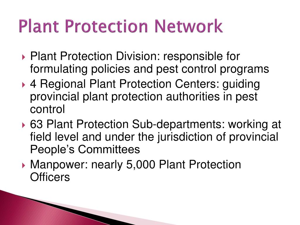 PPT PLANT PROTECTION and PLANT QUARANTINE IN VIETNAM PowerPoint Presentation ID3393016