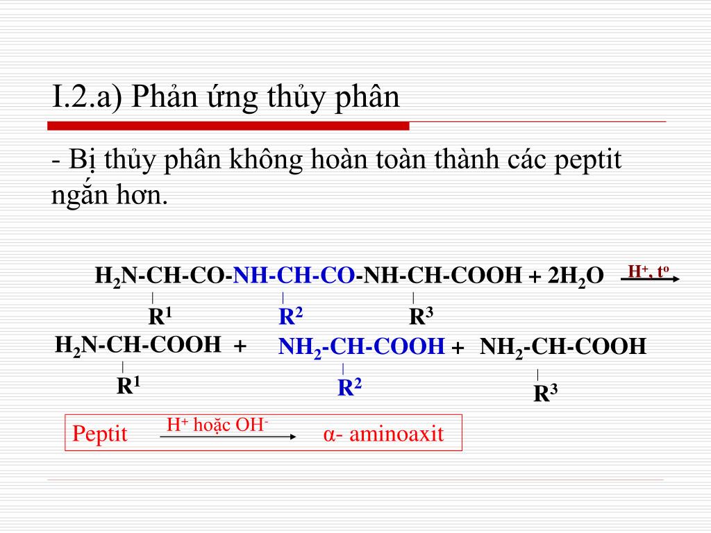 PPT - Bài 11: PEPTIT VÀ PROTEIN PowerPoint Presentation, Free Download - ID:3399238