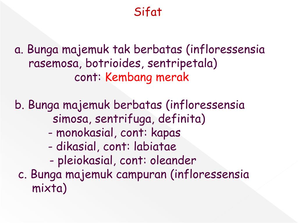 Ppt Alat Penunjang Tumbuh Powerpoint Presentation Free Download Id 3400634