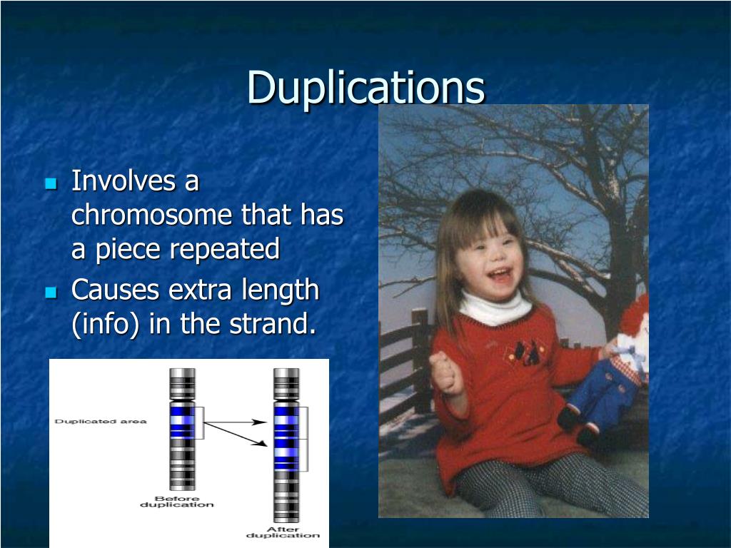 Ppt Karyotypes Powerpoint Presentation Free Download Id 3401100