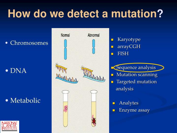 an analysis of chromosomes Some people with chromosomal disorders may have too many or too few chromosomes in their cells a karyotype analysis can be used to look at the number and appearance of chromosomes in individuals. an analysis of chromosomes Some people with chromosomal disorders may have too many or too few chromosomes in their cells a karyotype analysis can be used to look at the number and appearance of chromosomes in individuals.