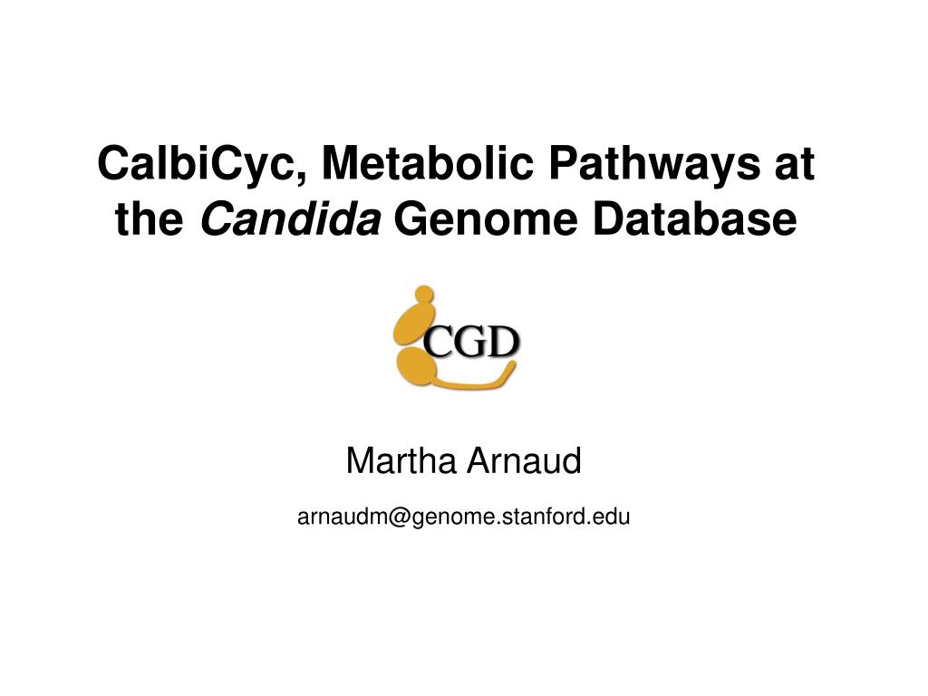 PPT - CalbiCyc, Metabolic Pathways at the Candida Genome Database  PowerPoint Presentation - ID:3401702