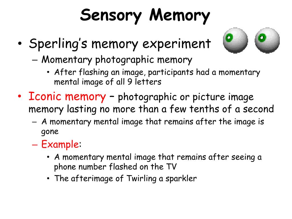 sensory memory essay