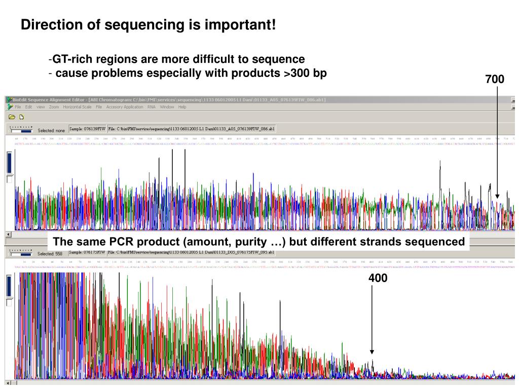 view chromatogram bioedit view chromatogram bioedit