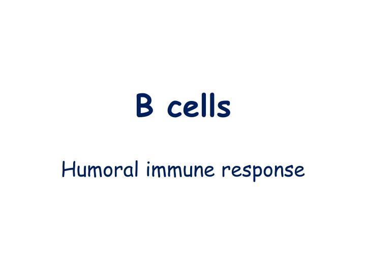 b cells n.