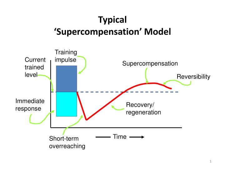 PPT Typical Model PowerPoint Presentation, free