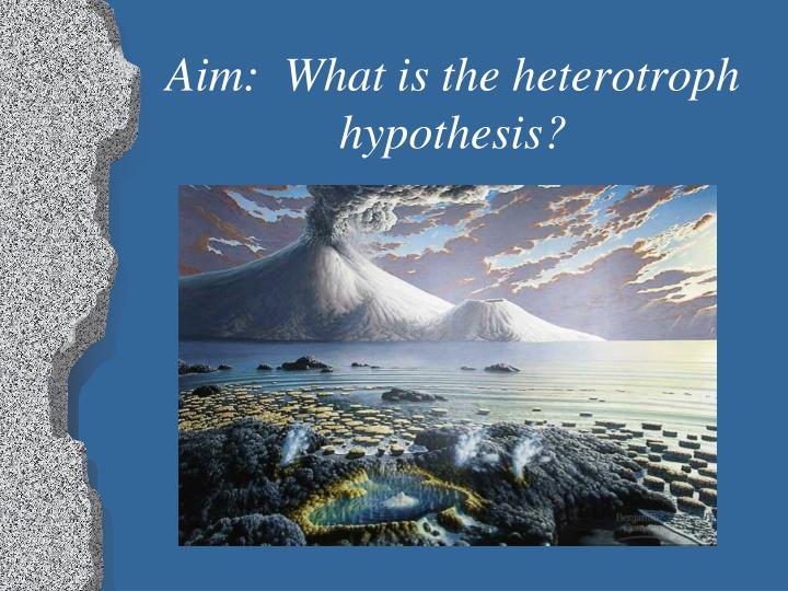 heterotroph hypothesis definition in biology