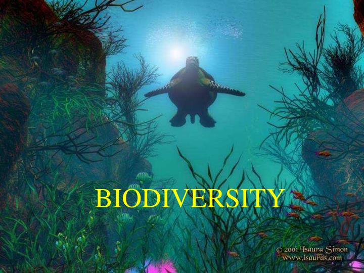 ppt-biodiversity-powerpoint-presentation-free-download-id-3406463