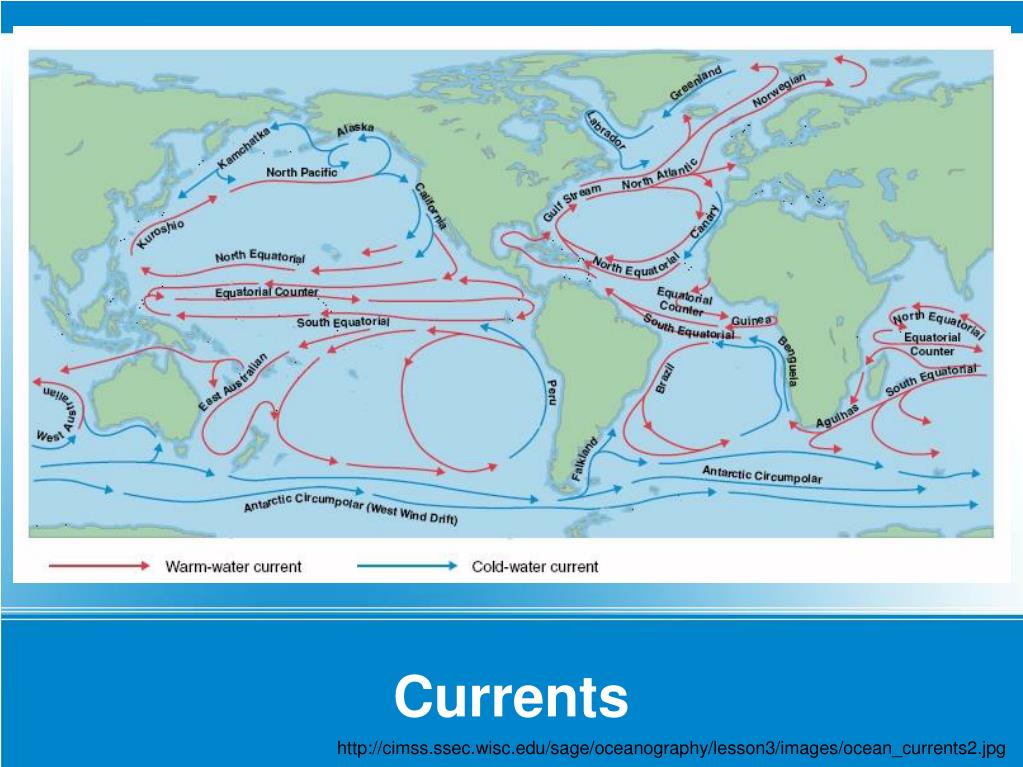 Направления теплых течений. Карта течений мирового океана. Тёплые и холодные течения на карте. Океанские течения.