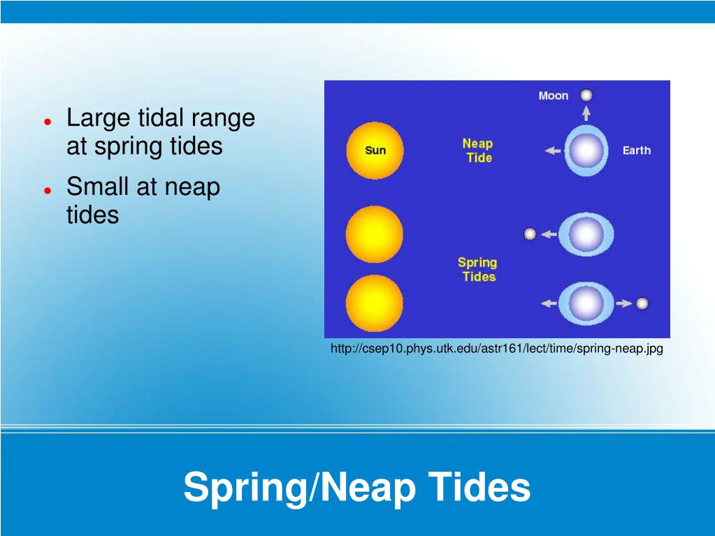 neap tide graph neap tide graph