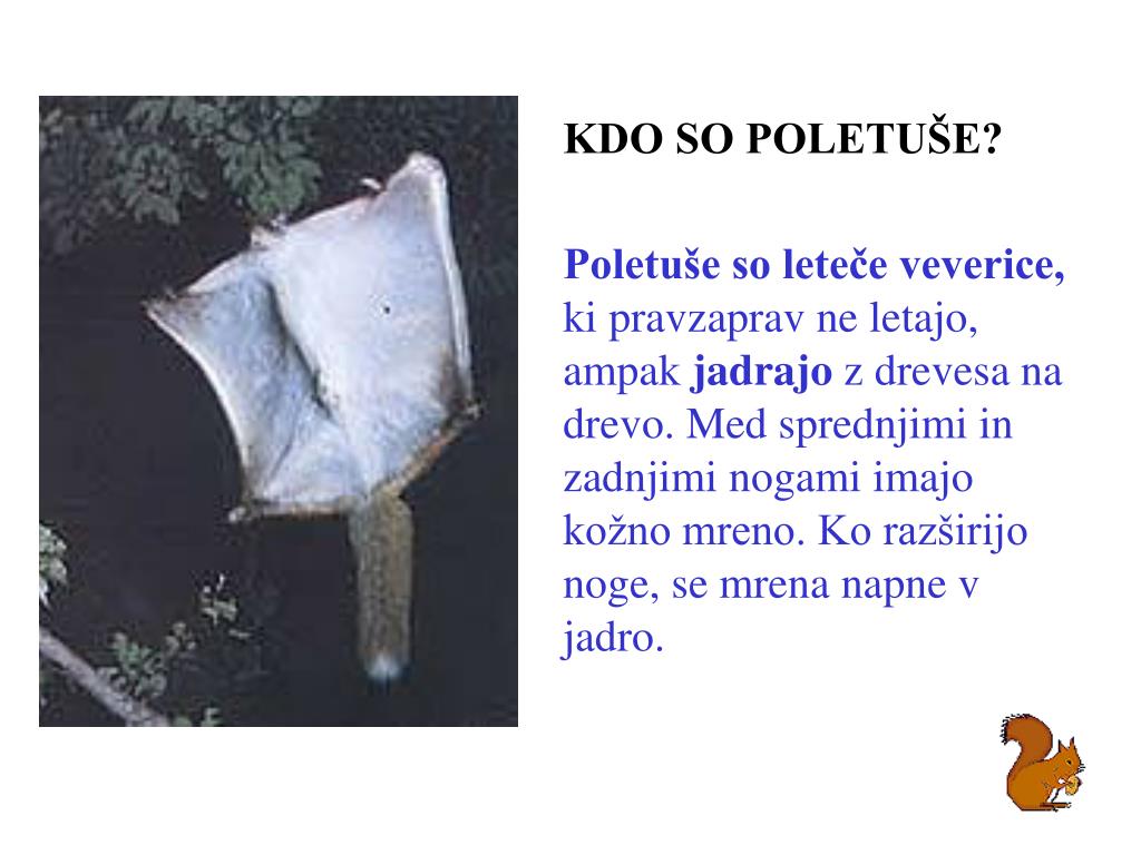 PPT - Avtorji: Jure Drobne Petar Milovanović Marko Puncer PowerPoint  Presentation - ID:3412169