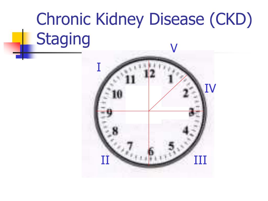 PPT - Proteinuria and Hypertension in Kidney Transplant PowerPoint ...