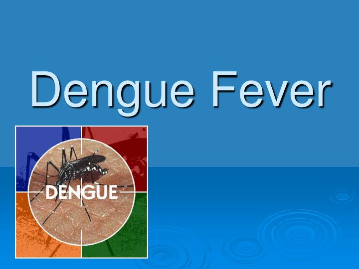 dengue fever n.