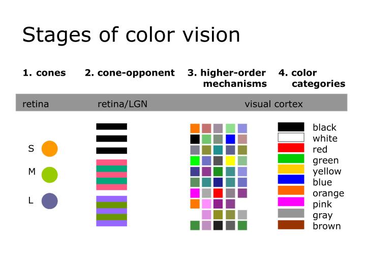 ppt color appearance of natural objects powerpoint presentation