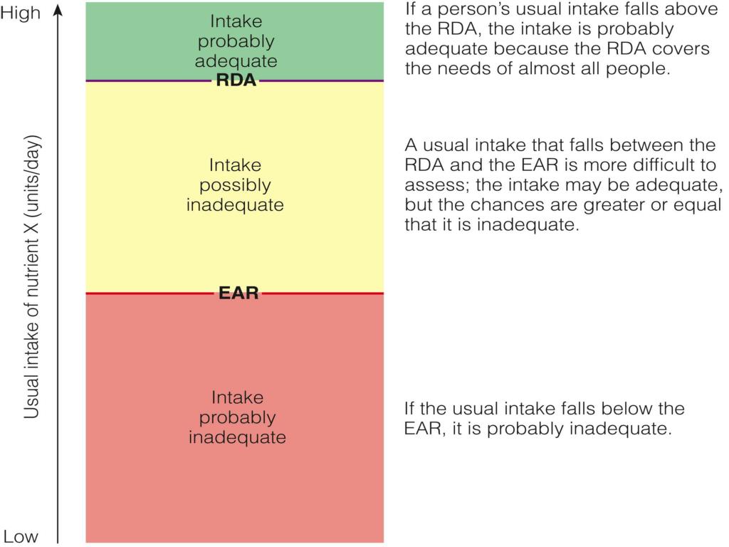 Ppt Standards For Nutrient Intake Powerpoint Presentation Free Download Id Ppt Standards For Nutrient Intake Powerpoint Presentation Free Download Id