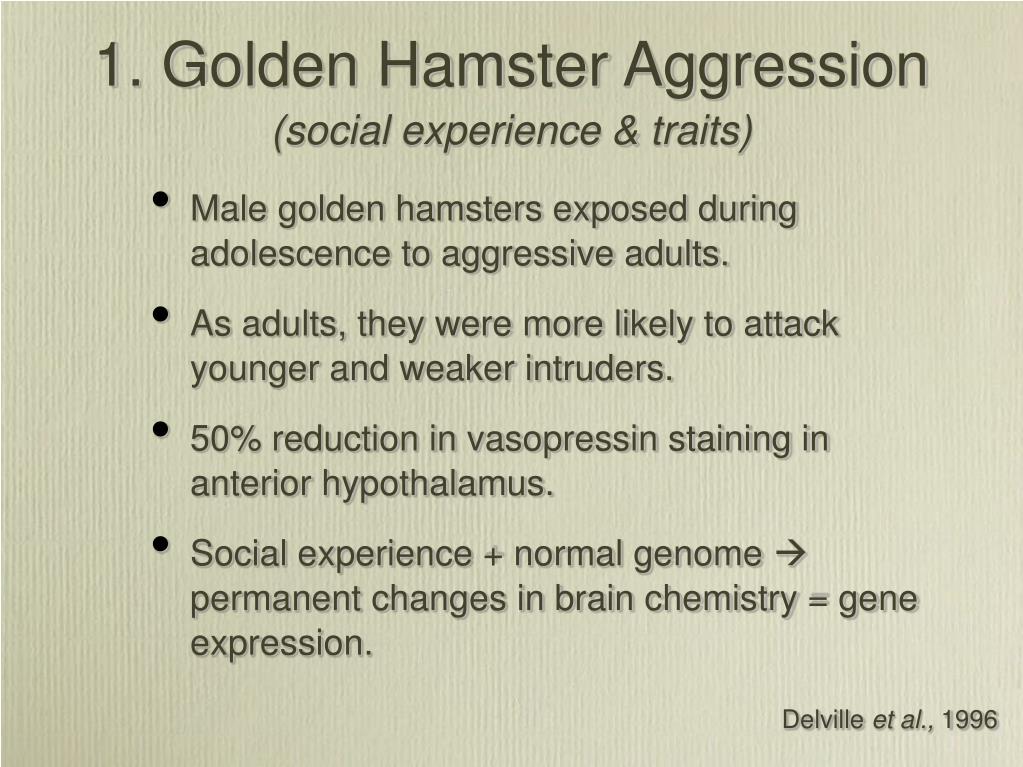 Hamster Aggression PPT - Gene Expression, Biological Psychiatry, & the Family PowerPoint ...