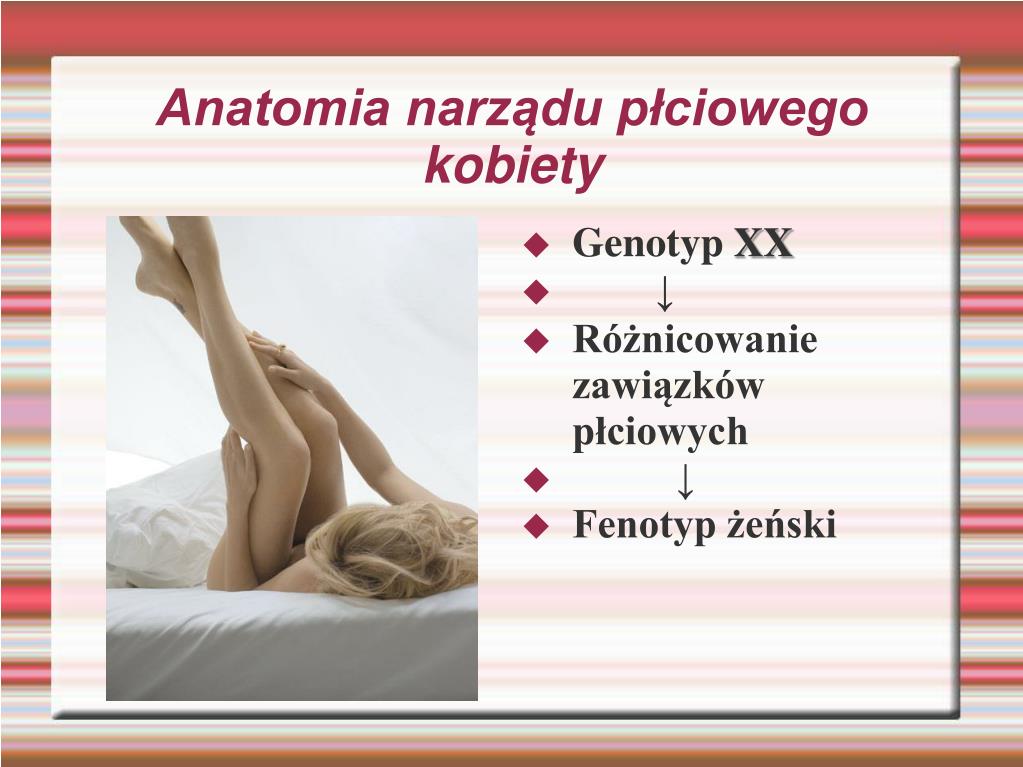 Narządy Płciowe żeńskie Prezentacja PPT - Anatomia narządu płciowego kobiety PowerPoint Presentation, free