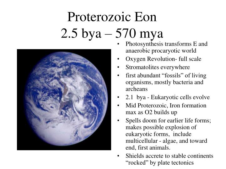 PPT - Proterozoic Eon 2.5 bya – 570 mya PowerPoint Presentation, free