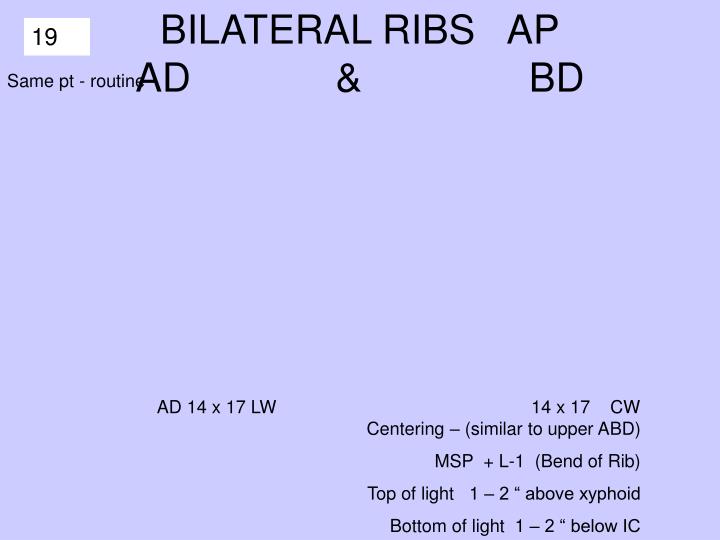 PPT - PA -anterior side BEST SEEN AP -posterior side BEST SEEN ...