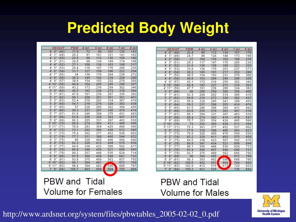 Ideal Body Weight Chart For Ventilator