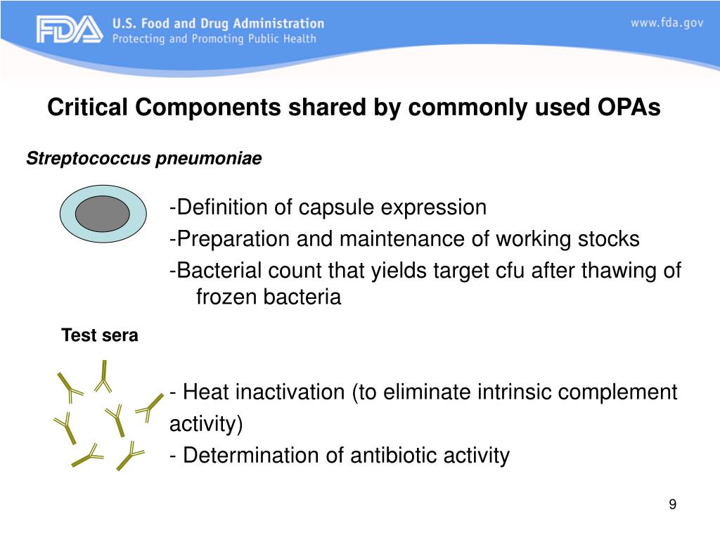 PPT - Prevnar 13 for adult use Pneumococcal 13-valent Conjugate Vaccine ...