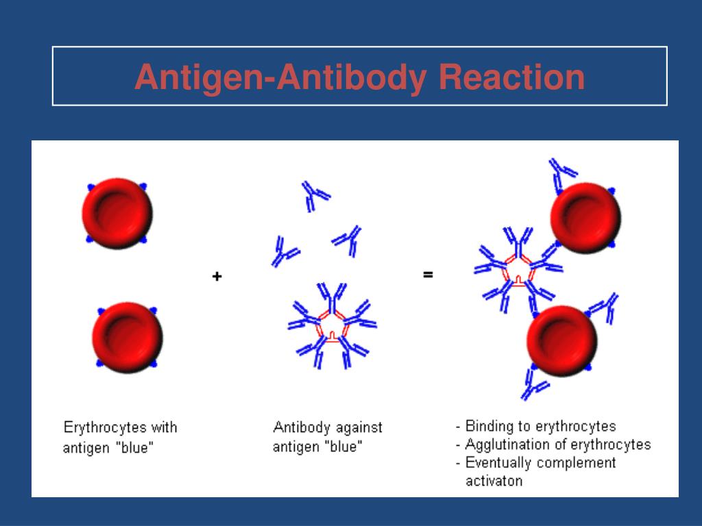 antibody reactivity antibody reactivity
