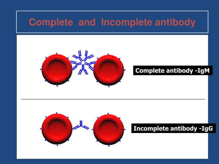 PPT Basic Principles of Immunohematology PowerPoint Presentation ID