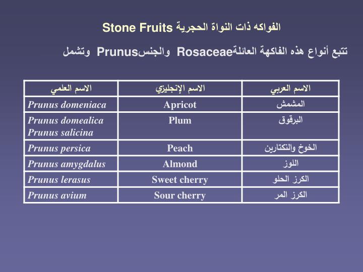 Ppt الفواكه ذات النواة الحجرية Stone Fruits Powerpoint Presentation Id 3426844