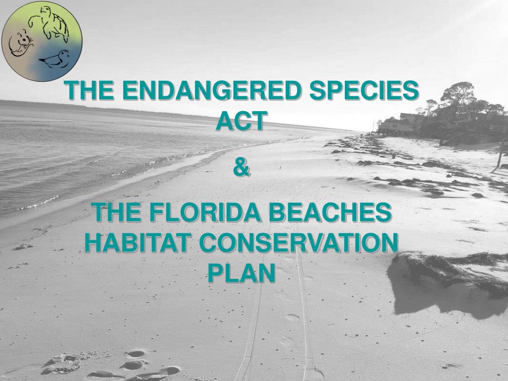 PPT - THE ENDANGERED SPECIES ACT & THE FLORIDA BEACHES HABITAT ...