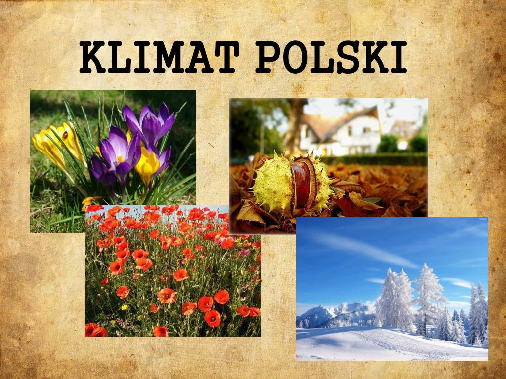 Masy Powietrza Kształtujące Klimat Polski PPT - KLIMAT POLSKI PowerPoint Presentation, free download - ID:3427163