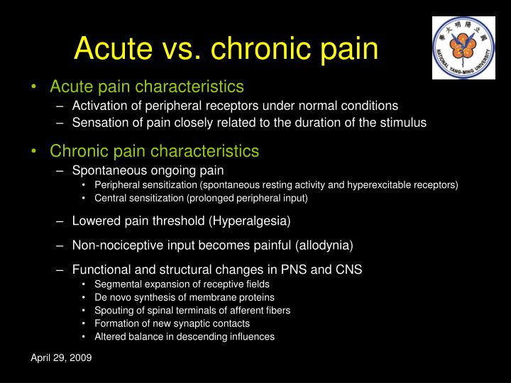 PPT The perception of pain PowerPoint Presentation ID3429793