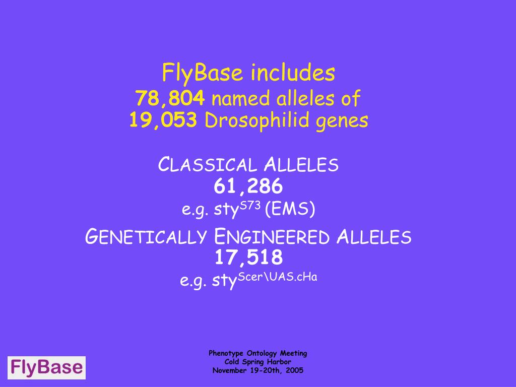 PPT - The FlyBase Consortium: Harvard University University of ...