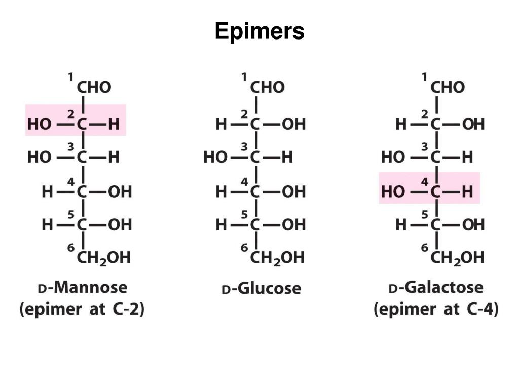 Глюкоза галактоза рибоза. Моносахариды Глюкоза формула. Моносахариды примеры формулы. Глюкоза фруктоза галактоза формулы. Глюкоза манноза галактоза фруктоза формулы.