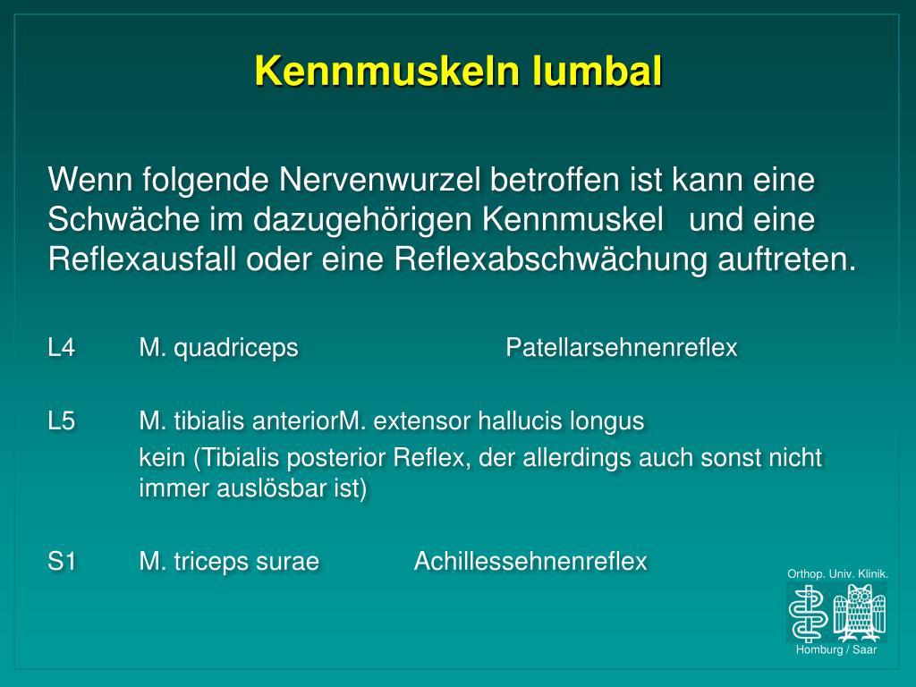 ppt-orthop-discher-untersuchungskurs-wirbels-ule-f-bachelier-e