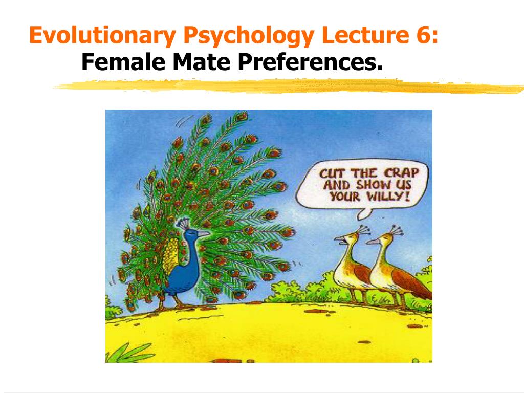 PPT - Evolutionary Psychology Lecture 6: Female Mate Preferences.  PowerPoint Presentation - ID:3434180