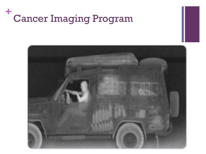 cancer imaging program n.
