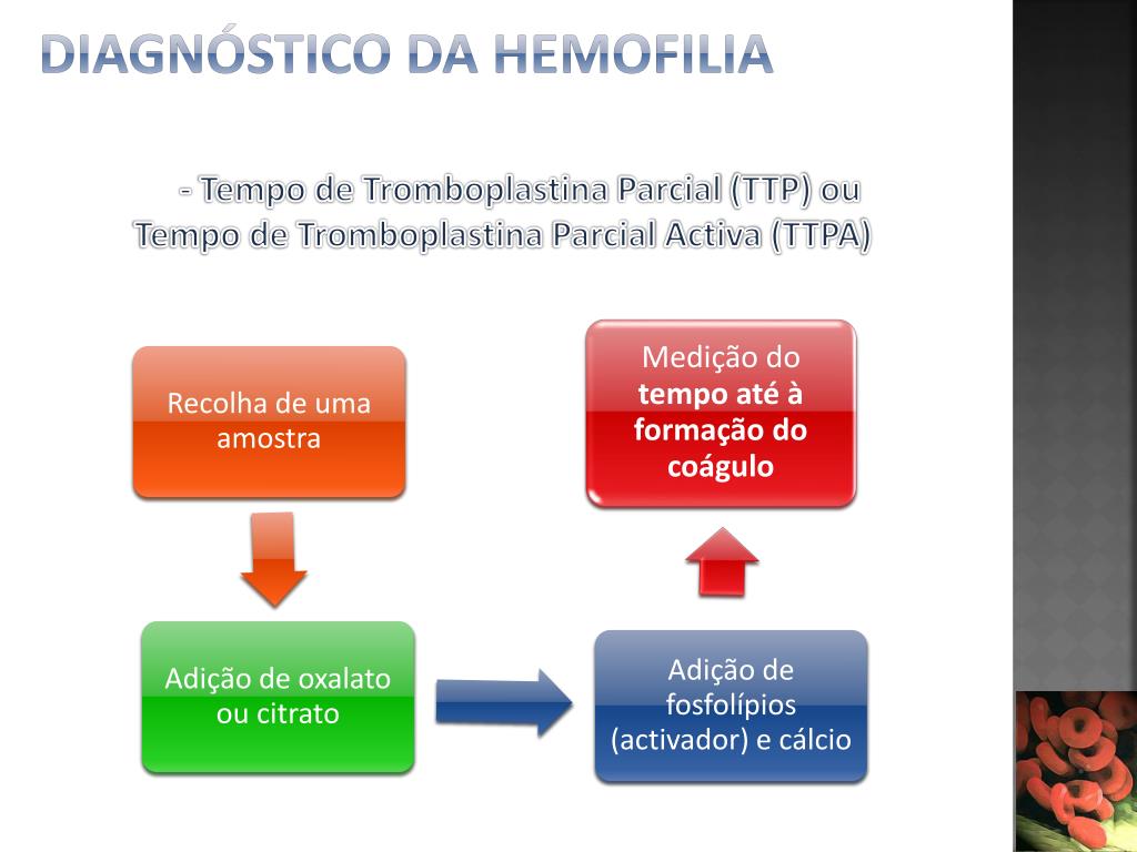 Ppt Hemofilia Powerpoint Presentation Free Download Id3435500 3119