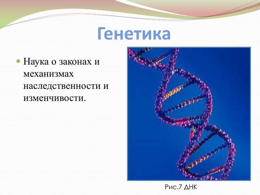 Урок генетика наука о наследственности и изменчивости. Генетика. Генетика это наука о. Генетика биология. Цели генетики в биологии.