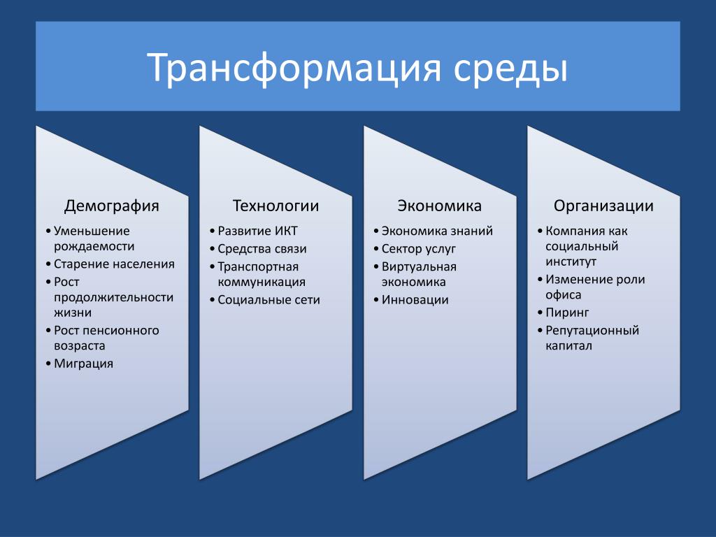 Социально демографическая среда