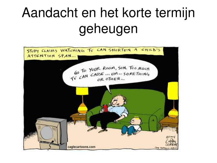 PPT - De werking van het geheugen PowerPoint Presentation - ID:3440407