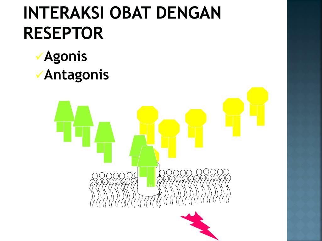 Ppt farmakokinetik farmakodinamik obat powerpoint presentation id