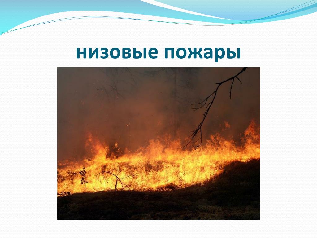 Лесной пожар относится к биологически опасным явлениям. Поджёг или поджог как правильно.