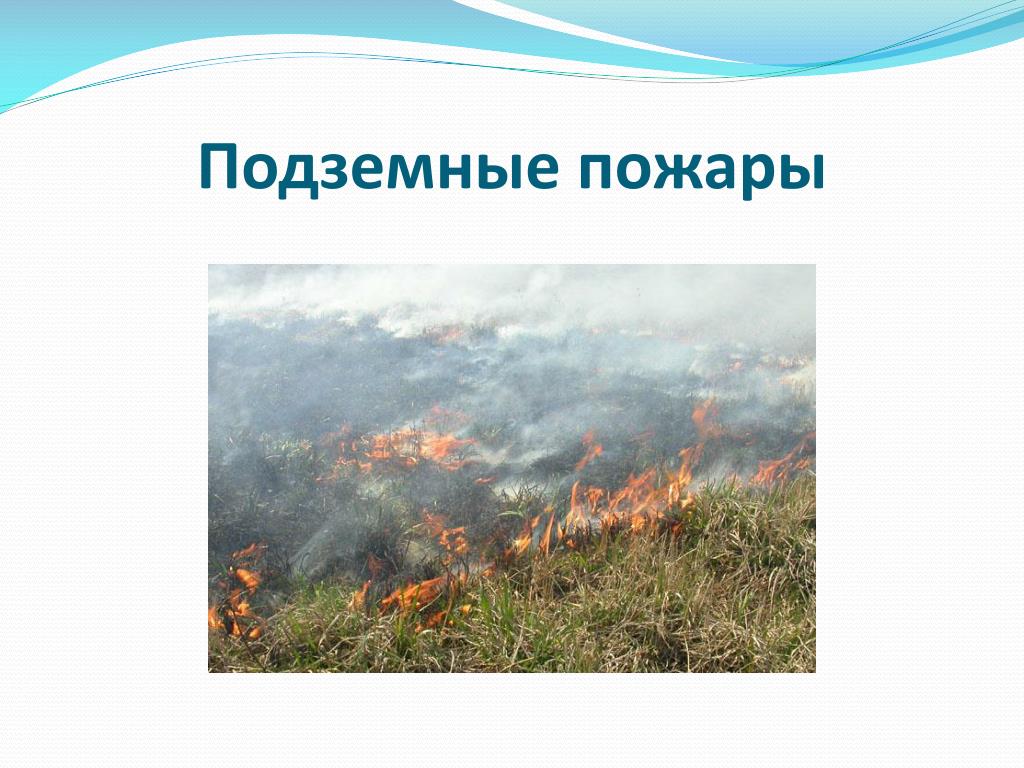 Тест на тему чс. ЧС природного характера пожары.