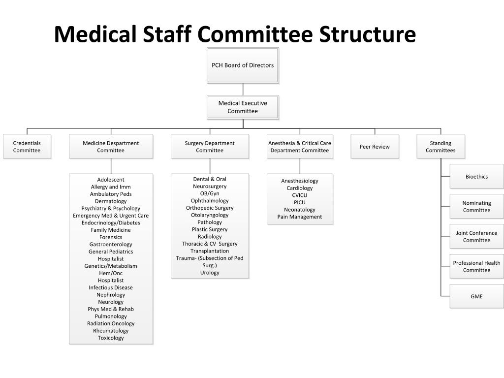 Medical Staff Credentialing Process Work Chron Com