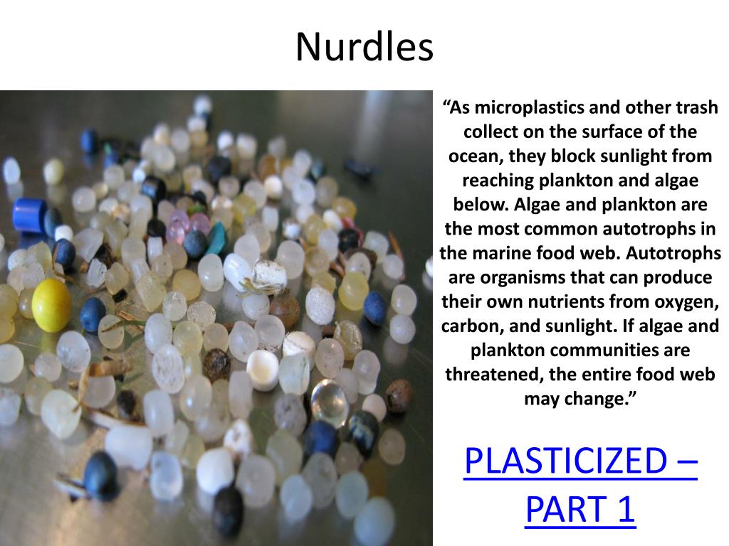 PPT - Plastic Pollution: OWU And Beyond PowerPoint Presentation, Free ...