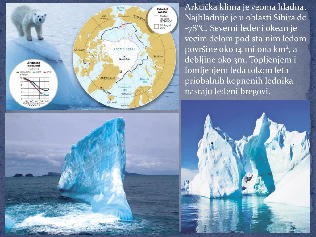 Arktyka I Antarktyda Prezentacja Multimedialna PPT - ARkTIK I ANTARTIK PowerPoint Presentation, free download - ID:3446039