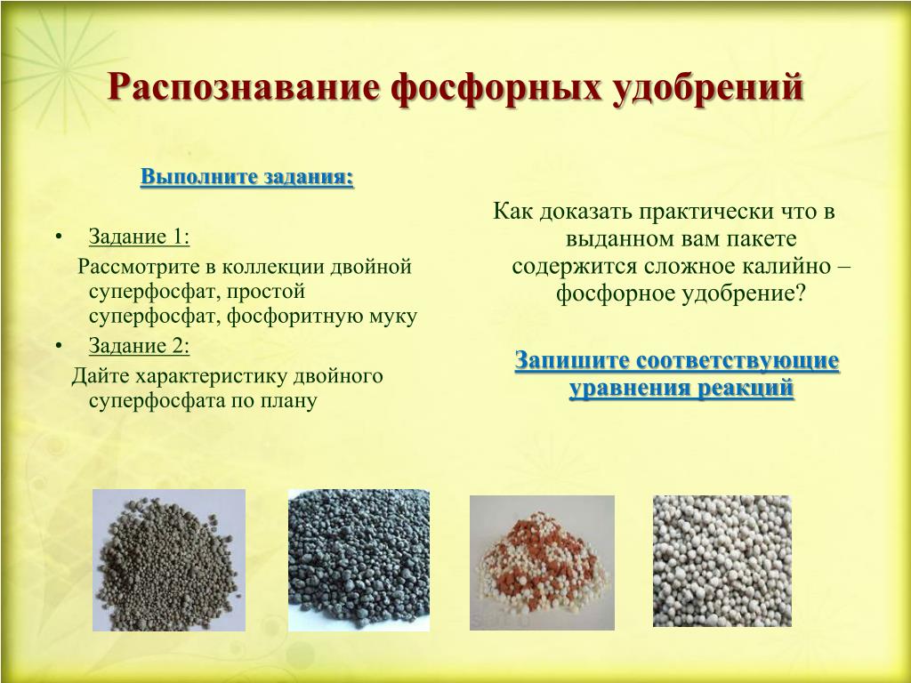 Растения содержащие фосфор. Фосфорные удобрения. Типы фосфорных удобрений. Распознавание удобрений. Минеральные удобрения фосфора.
