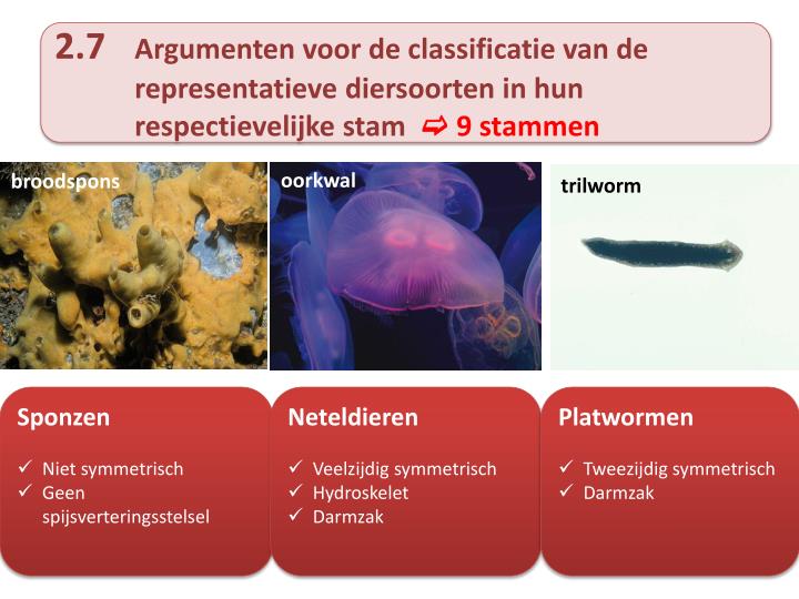 PPT - CLASSIFICEREN VAN DIEREN PowerPoint Presentation - ID:3447534